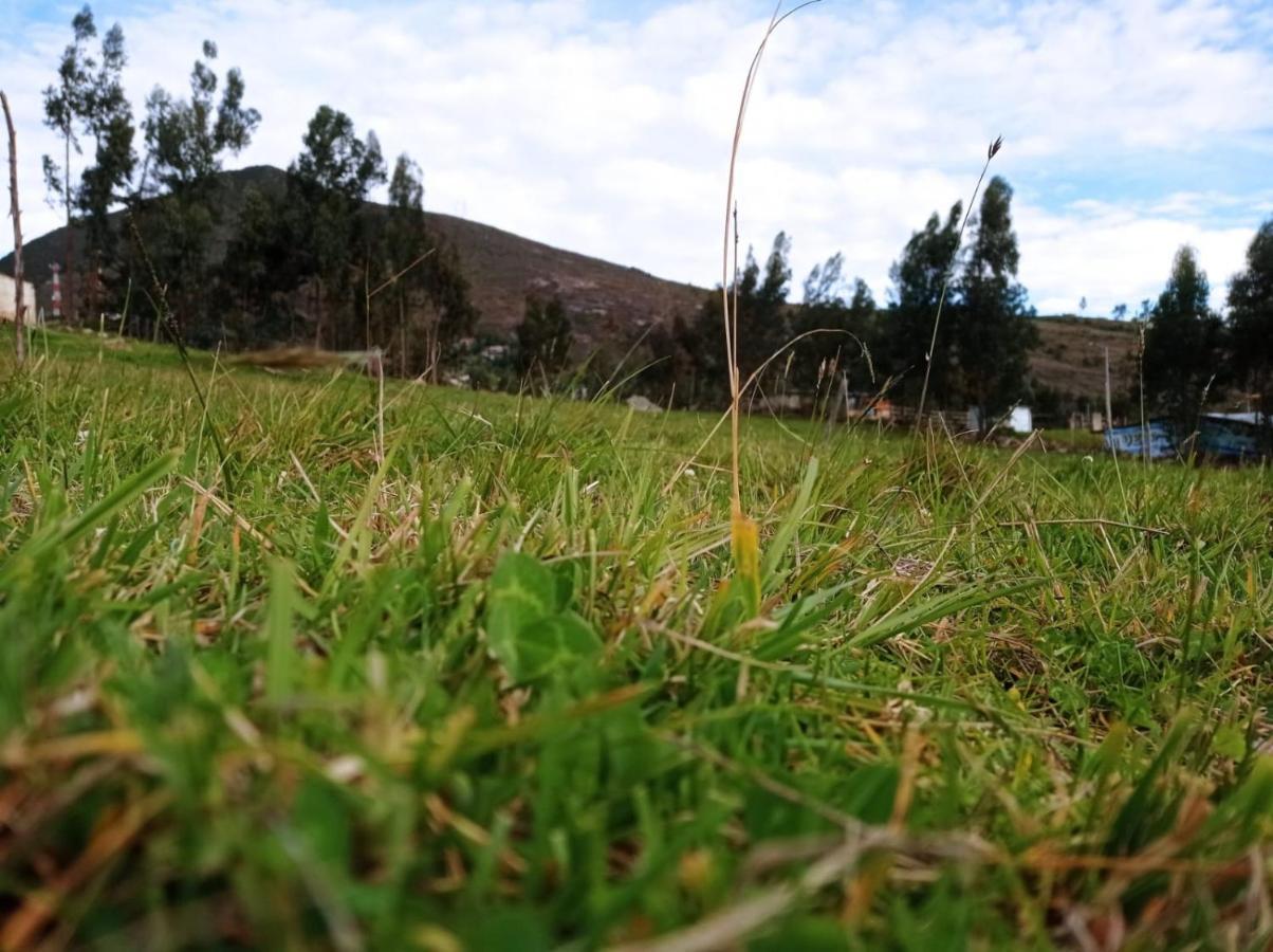 Acacias Campsite