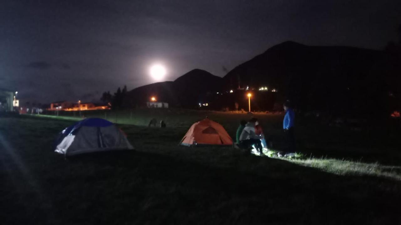 Campsite Acacias