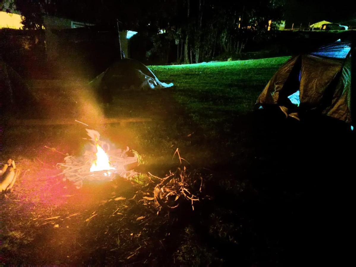 Campsite Acacias