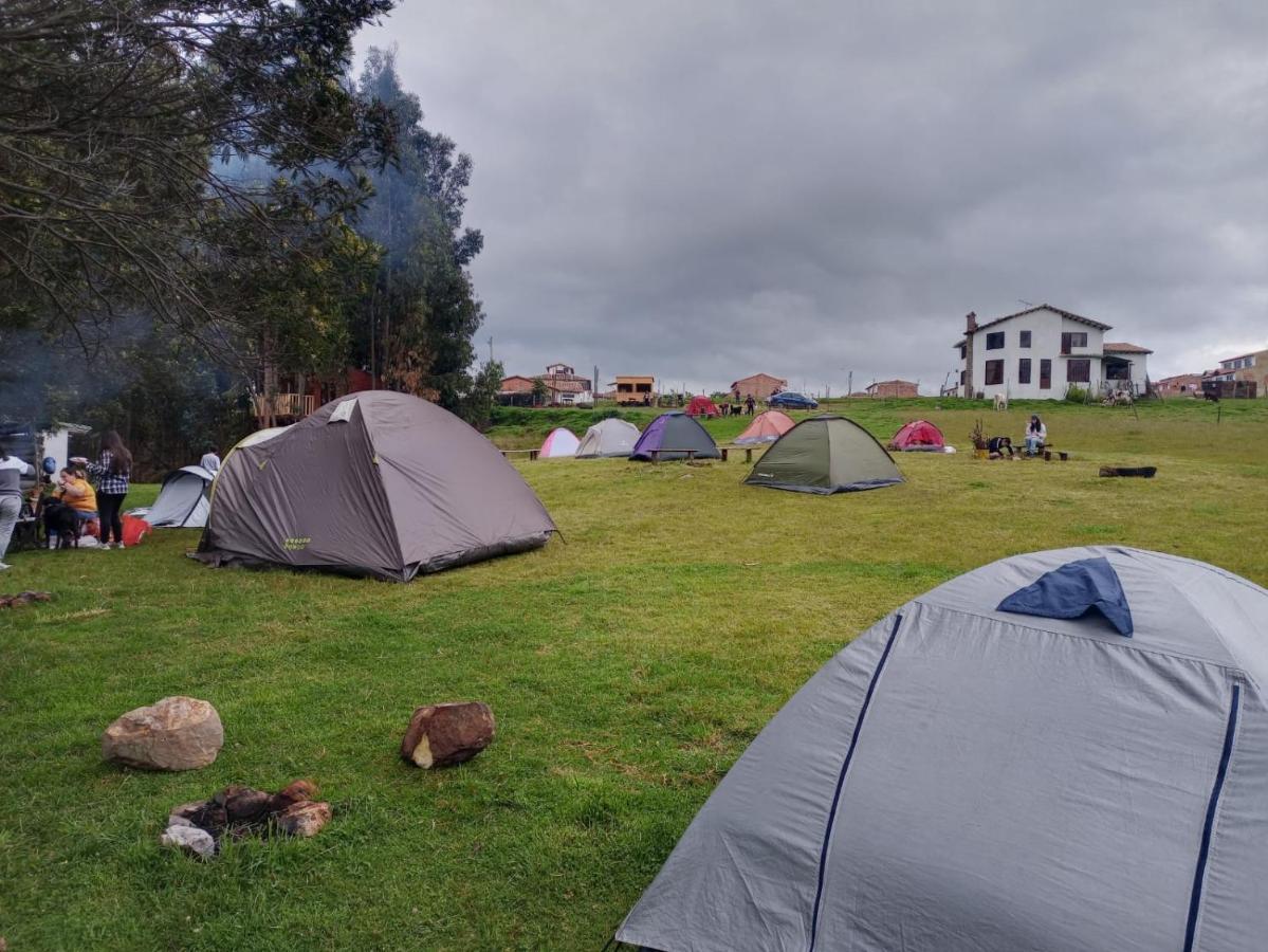 Campsite Acacias