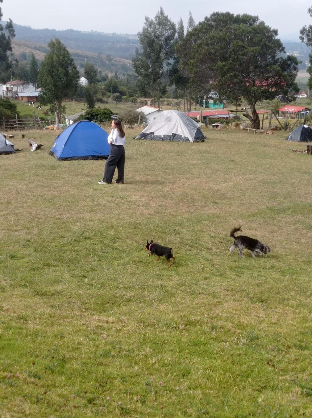 Acacias Campsite *