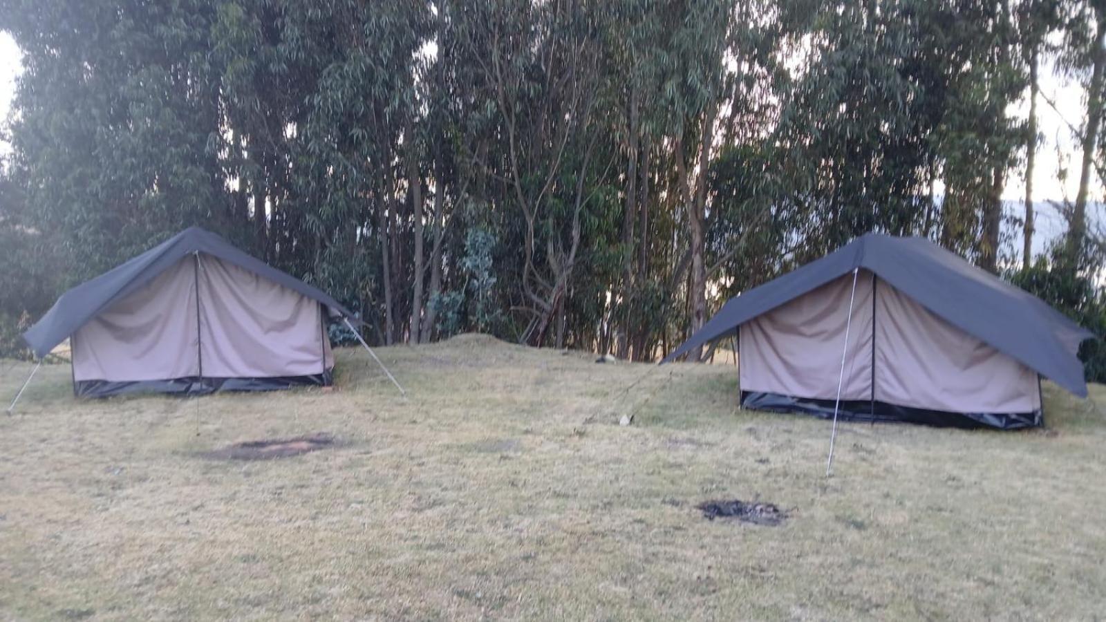 Campsite Acacias