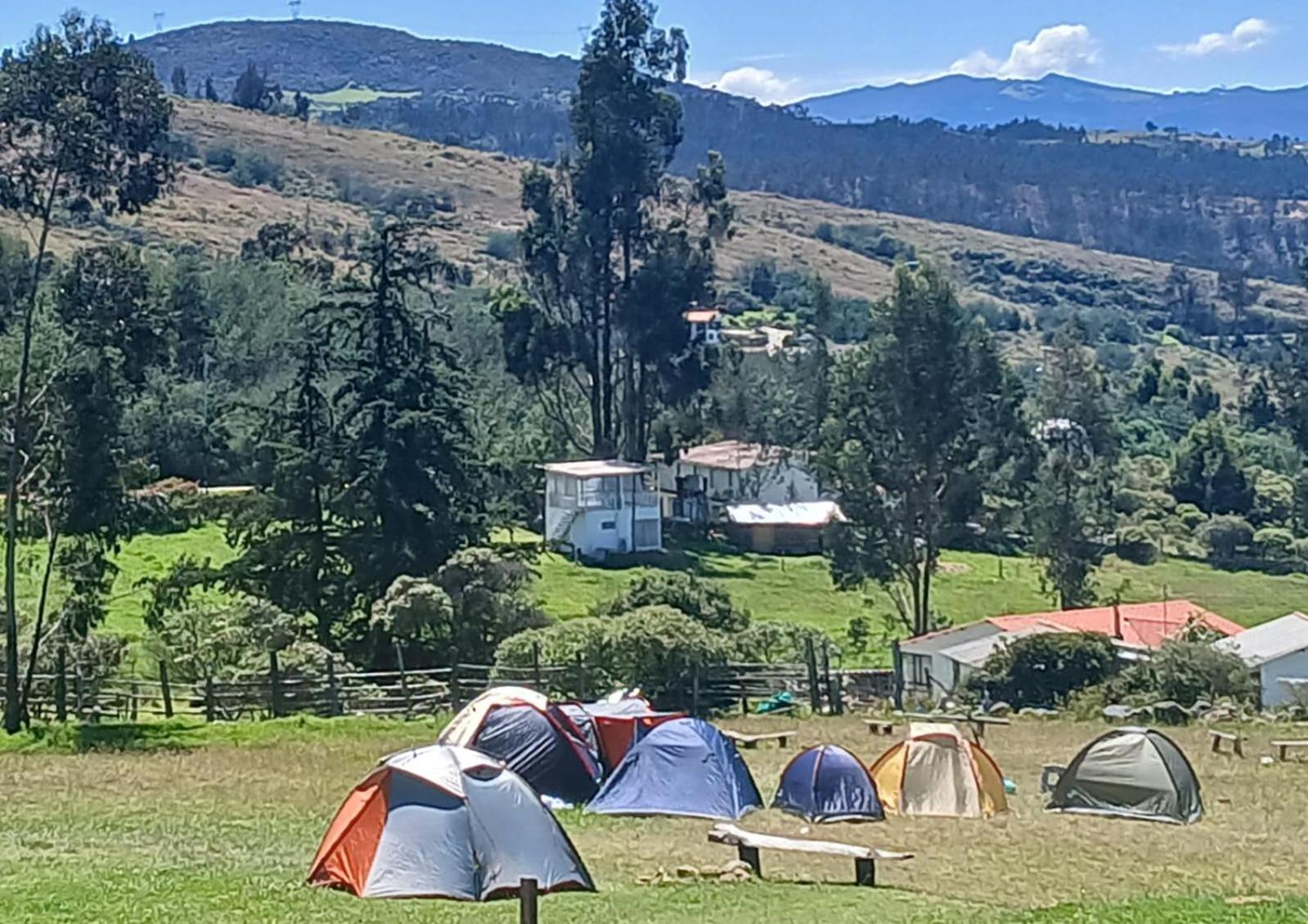 Campsite Acacias *